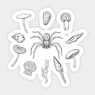 Huntsman spider with various shells and fungi Sticker